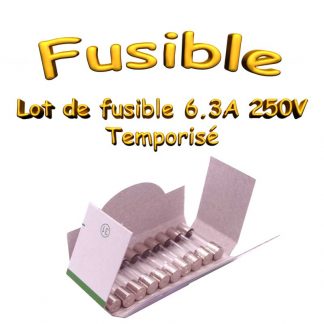 Fusible 5X20 3,15A temporisé